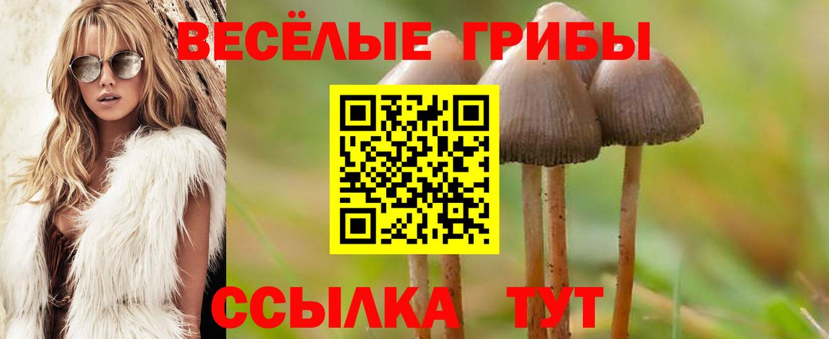 Галлюциногенные грибы мицелий Нальчик